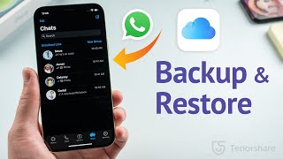 How to Backup amp Restore WhatsApp Messages on iPhone 3 Ways [upl. by Menides799]