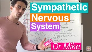 Sympathetic Nervous System [upl. by Nosremaj]