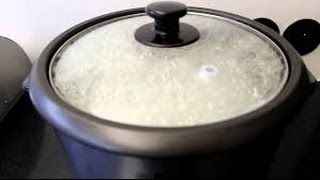 How To Make Rice Using The Black And Decker Rice Cooker [upl. by Johnstone]