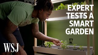 Can an Indoor Smart Garden Beat Outdoor Gardening We Tested It  WSJ [upl. by Einalam]