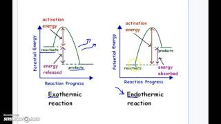 Endothermic Vs Exothermic Reaction Graphs [upl. by Younglove74]