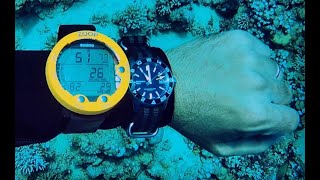 A divers guide to dive watches [upl. by Moran478]