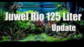 Juwel Rio 125 Liter Aquascape  Update [upl. by Channa630]