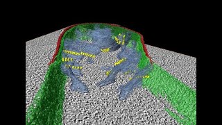 Mitochondria under stress  Dr Georg Ramm  taken using Cryoelectron Tomography imaging [upl. by Howarth304]