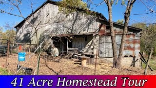 Homestead Tour  2019 Tour of our 41 Acre Homestead [upl. by Nilahs705]