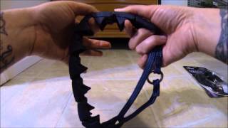 Starmark ProCollar Review amp HowTo [upl. by Chinua]