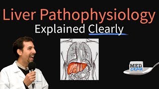 Liver Explained Clearly  Pathophysiology LFTs Hepatic Diseases [upl. by Ludie320]