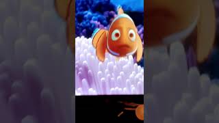 Finding Nemo  First Scene [upl. by Maiocco]