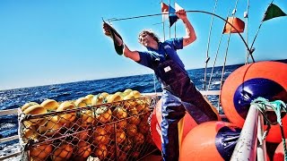 Life on a longline fishing boat [upl. by Aliakam]