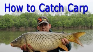 How to Catch Carp  for Beginners [upl. by Siloam]