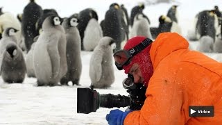 Planet Wissen  Abenteuer Naturfilm [upl. by Carlotta]