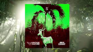 Sofi Tukker  Drinkee Vintage Culture amp John Summit Remix [upl. by Leonore366]