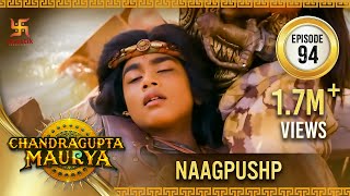 Chandragupta Maurya  Episode 94  Naagpushp  नागपुष्प  Swastik Productions India [upl. by Sobel]