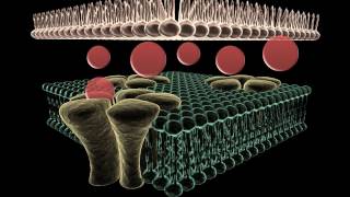 How NarcanNaloxone Works [upl. by Leund]