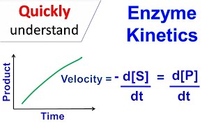 Enzyme kinetics [upl. by Etam168]