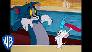 Tom y Jerry en Latino  El peligroso ratón blanco  WB Kids [upl. by Dilaw]