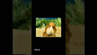 Wonder Pets Treehouse TV Promo [upl. by Pelagia]