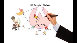 Pharmacology  ANTIHISTAMINES MADE EASY [upl. by Mullins741]