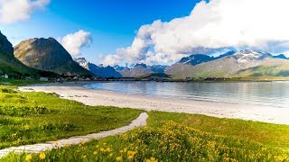 Uplifting Music  light positive happy music Gullrosøya  1 hour [upl. by Zitvaa]