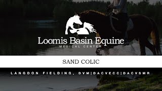 Equine Sand Colic Signs amp Symptoms Diagnosis and Treatment [upl. by Svetlana]