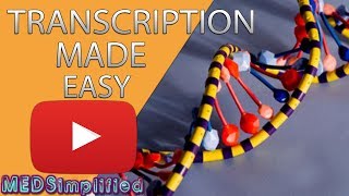 Transcription Made Easy From DNA to RNA 2019 [upl. by Aicilif]