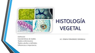 BOTÁNICA Histología Vegetal [upl. by Epp]