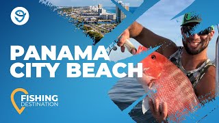 Panama City Beach Fishing All You Need to Know  FishingBooker [upl. by Ahseinek]