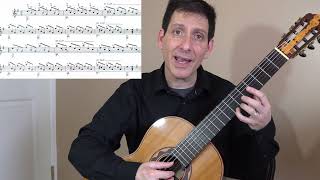 Guided Lesson Estudio Study in e minor  Francisco Tárrega Philip Hemmo classical guitar [upl. by Klos]