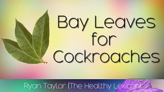 Bay Leaves for Cockroaches [upl. by Aisanat811]