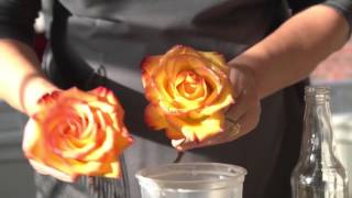 How to Preserve Flowers with Wax [upl. by Hattie]