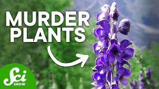 The Top 10 Deadliest Plants They Can Kill You [upl. by Nyrrek]