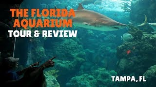 The Florida Aquarium  tour amp review [upl. by Eerahc]