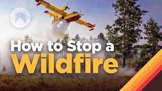 How Fighting Wildfires Works [upl. by Nykal]