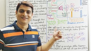 Part 11 Mass Spectrometry APCI  Atmospheric Pressure Chemical Ionization Technique [upl. by Marje]