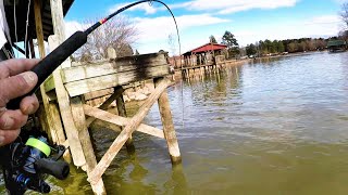 How To MAKE Crappie Bite Crappie Fishing With A Jig [upl. by Culbertson]