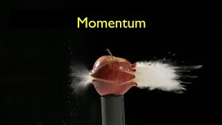 What Is Momentum [upl. by Berni]