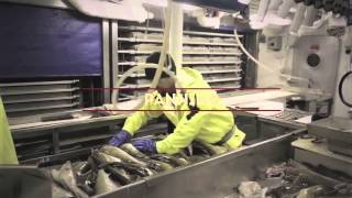 Sustainable Alaska Cod Fishing  The Story of a Commercial Longliner [upl. by Bradney179]