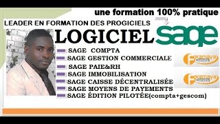 SAGE SAARI COMMENT DÉBUTER MON 1er PARAMÉTRAGE AVEC SAGE [upl. by Irmina495]