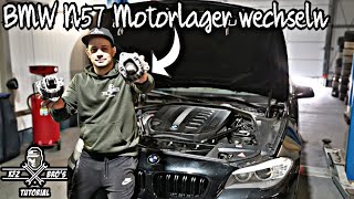 BMW F10  F11  F01 N57  Motorlager wechseln  Drehmomentwerte  Anleitung  Engine Mount [upl. by Evania]