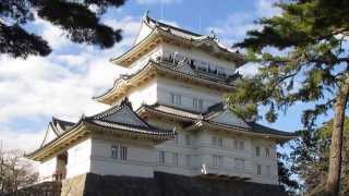 Odawara Castle Kanagawa ● 小田原城 [upl. by Kcirdehs]