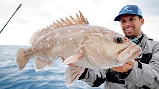 Fishing for DEEP Ocean Snowy Grouper [upl. by Ahk237]