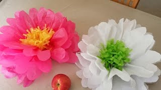 How to Make Tissue Paper Flowers [upl. by Philis]