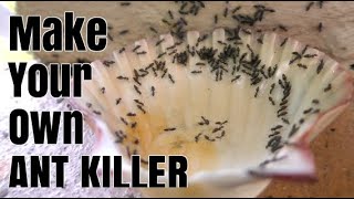 How To Make Homemade ANT KILLER [upl. by Yatnoed]