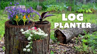 How to Make a LOG PLANTER for Your Garden  Various Methods [upl. by Jasmine521]