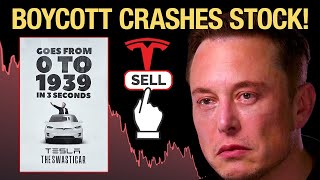 Worldwide Elon Musk Backlash CRASHING Tesla Stock [upl. by Lirba]