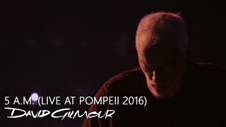 David Gilmour  5 AM Live At Pompeii [upl. by Lihas]