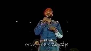 Marvin Gaye  LIVE Inner City Blues 1974 [upl. by Sapphire511]