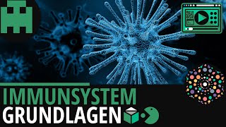 Immunsystem Grundlagen│Biologie Lernvideo Learning Level Up [upl. by Ahsieat]