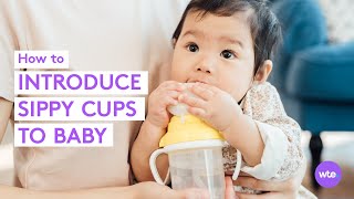 When Can Babies Use a Sippy Cup Transition Tips  More  What to Expect [upl. by Yun]