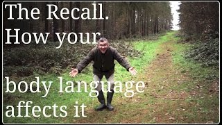 Dog Recall How Your Body Language Affects the Recall [upl. by Yeffej]